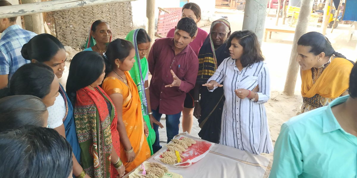 Tribal women from Adilabad score different sorghum panicles for grain-related traits. 