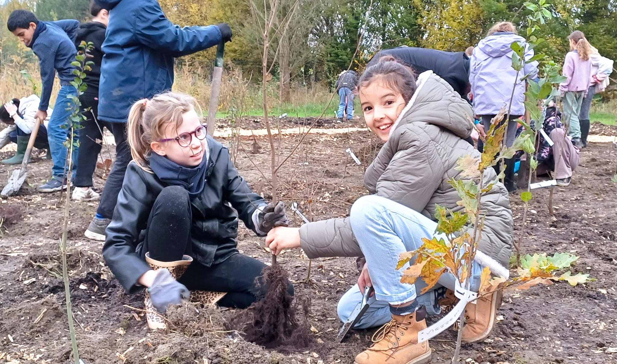Twee leerlingen van basisschool De Ark planten mee het Tiny Forest aan de Flor Huysmansstraat in Wilrijk. - © District Wilrijk