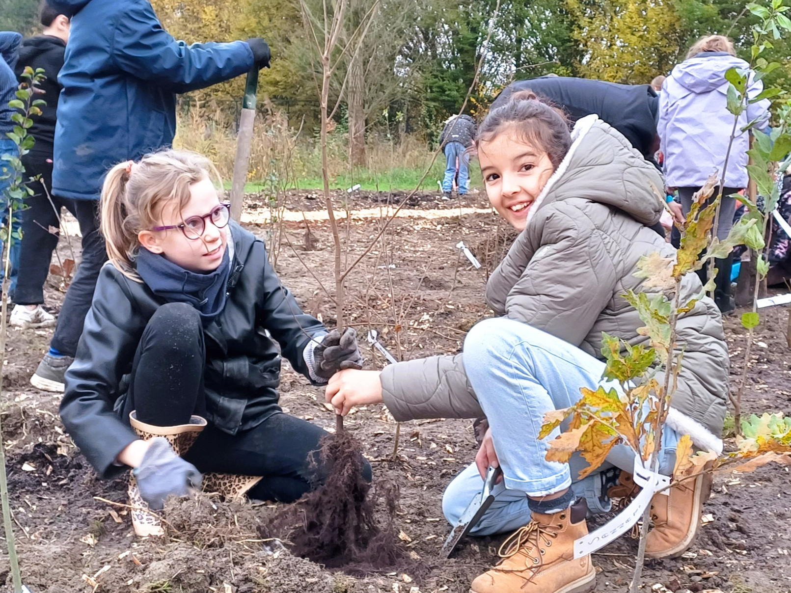 Eerste Wilrijkse Tiny Forest aangeplant