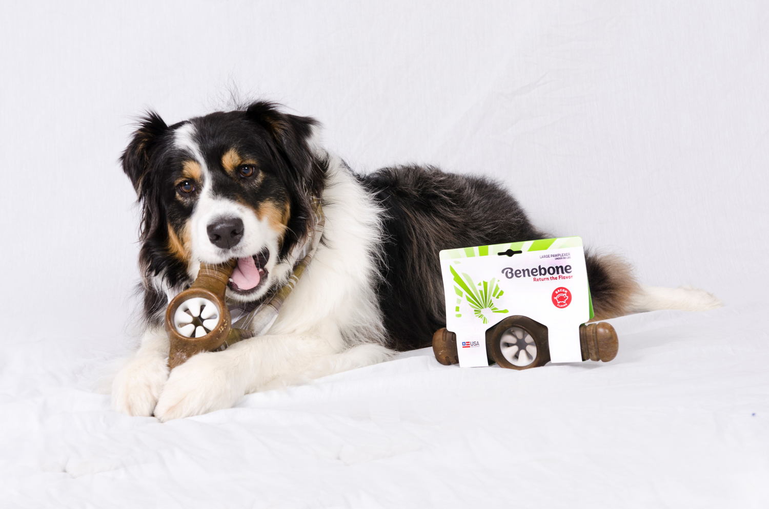 Benebone Pawplexer