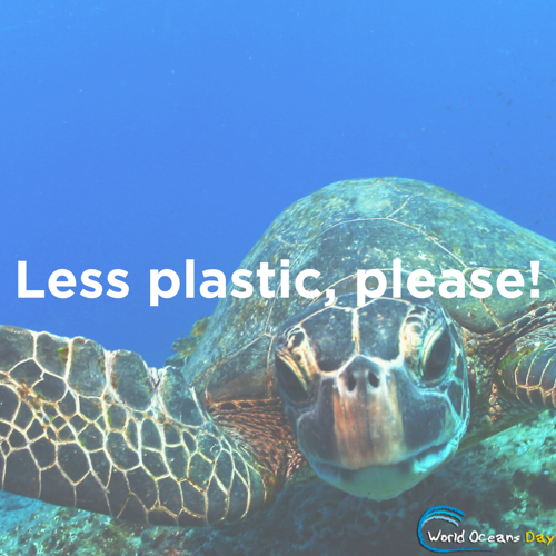 World Oceans Day graphic