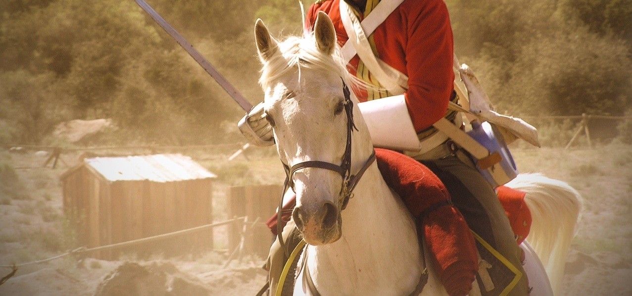 The famous Royal Scots Greys will be participating in the commemoration celebrations of the Battle of Waterloo! 