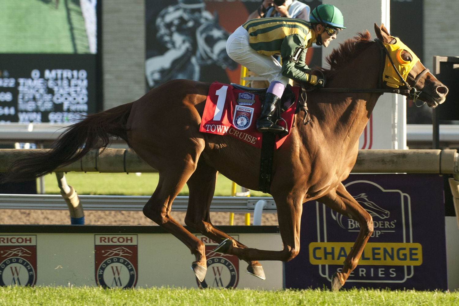 Town Cruise and jockey Daisuke Fukumoto winning the 2021 Woodbine Mile (Michael Burns Photo)