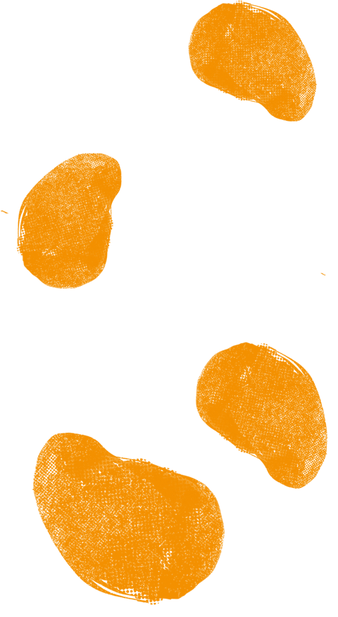 26.179330000000004%