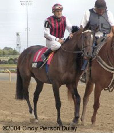 Mobil in 2004 at Woodbine (Cindy Pierson Dulay Photo)