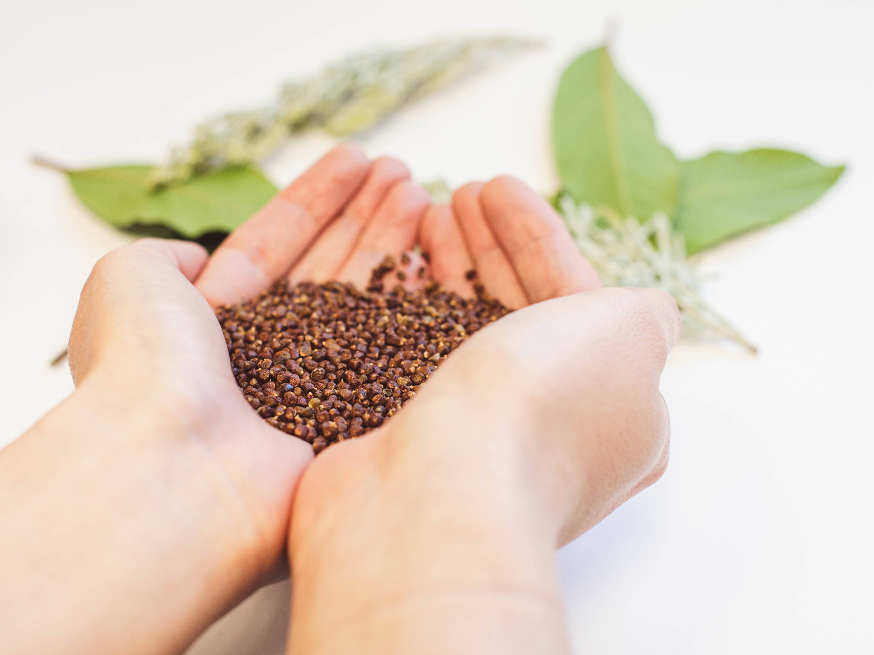Nektium to launch new botanical extract for stress relief at Vitafoods Europe 2024
