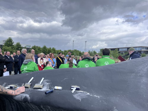 ©IOBZ TB_Wij zijn de Walvis - Kortrijk 2025