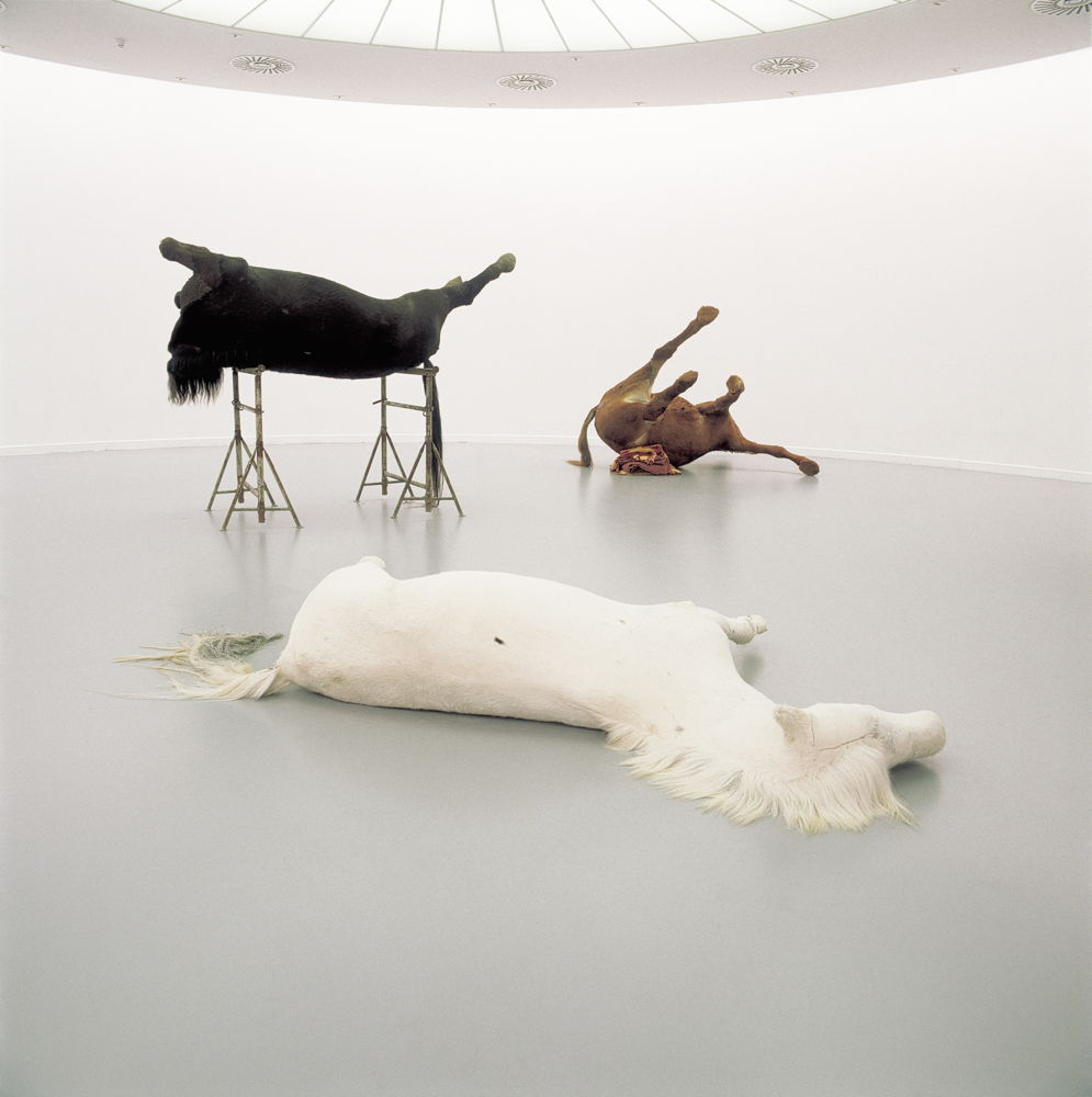Berlinde De Bruyckere, In Flanders Fields, 2000, Collection M HKAMuseum of Contemporary Art AntwerpFlemish Community