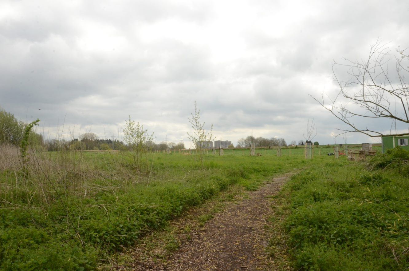 Het Regionaal Landschap Pajottenland & Zennevallei ondersteunde de aanplant van een hoogstamboomgaard. Charlotte en Hilde plantten zelf nog enkele laagstammen. Het Regionaal Landschap Pajottenland & Zennevallei ondersteunde de aanplant van een hoogstamboomgaard. Charlotte en Hilde plantten zelf nog enkele laagstammen.