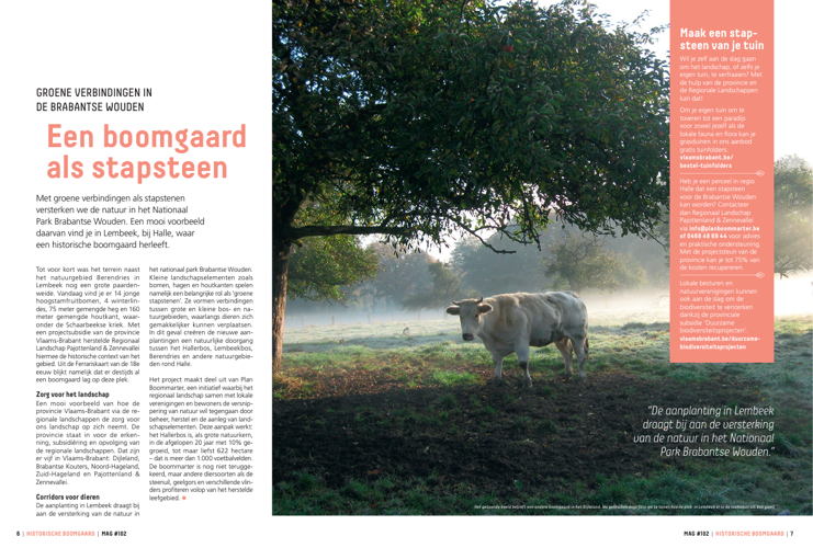 MAG102-06-07