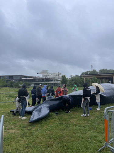 (C)IOBZ EVH Wij Zjn De Walvis Kortrijk 35 (C)IOBZ EVH Wij Zjn De Walvis Kortrijk 35