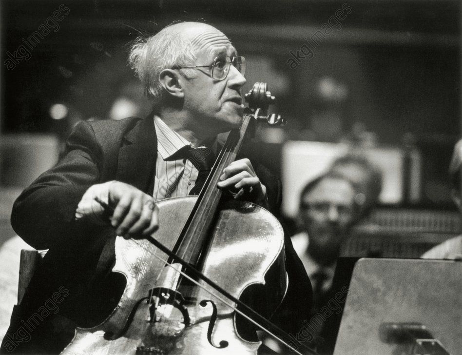 AKG2321036 - Rostropovich during a performance in London. Photo: Anne Purkiss