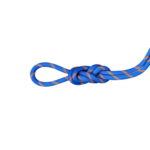 9.0 Alpine Sender Dry Rope 