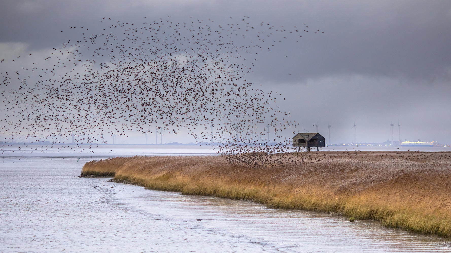 Landal Glamping Lauwersmeer_2