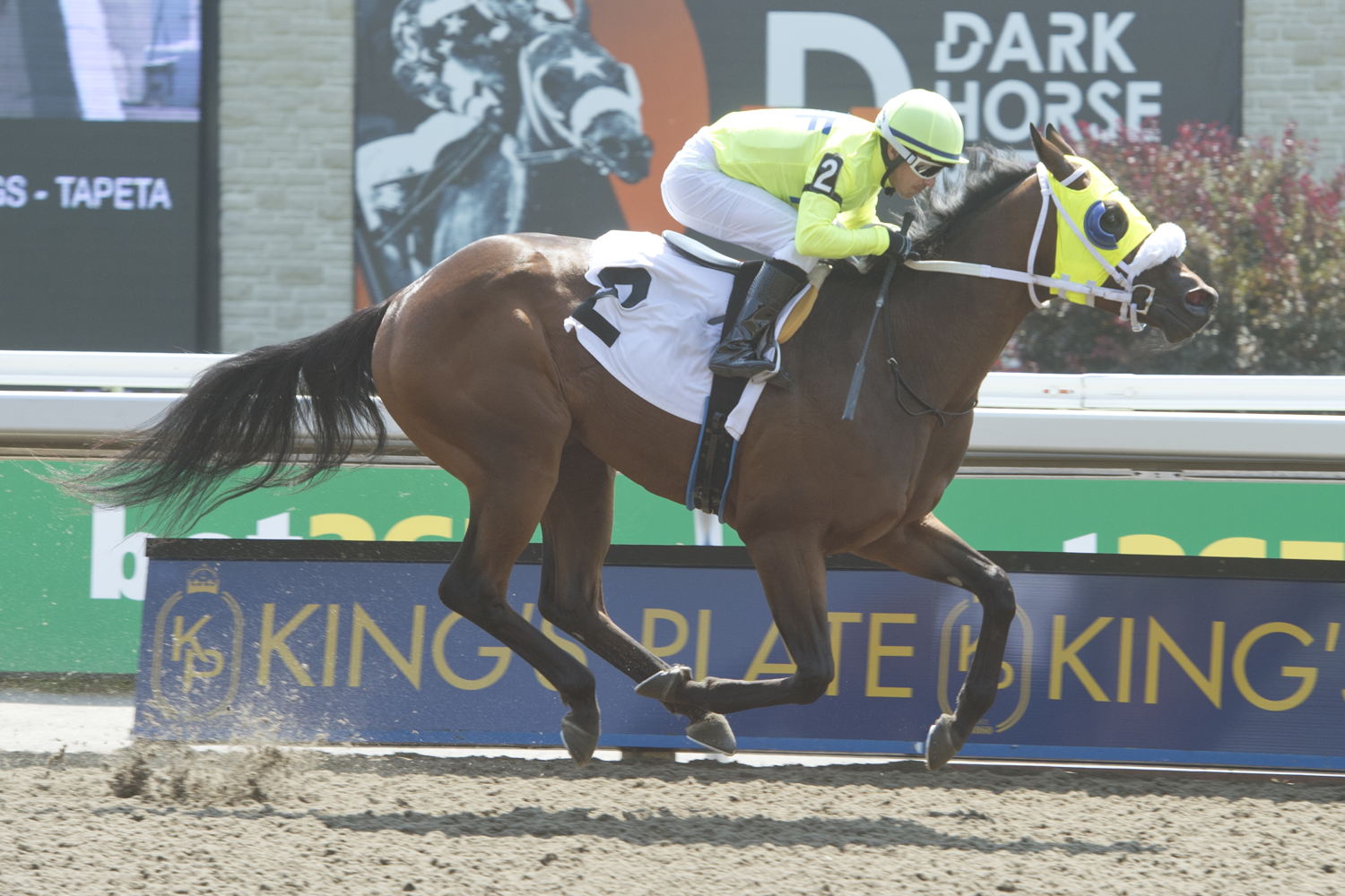 Meko Makee and jockey Omar Moreno winning Race 1 on August 19, 2023 at Woodbine (Michael Burns Photo)