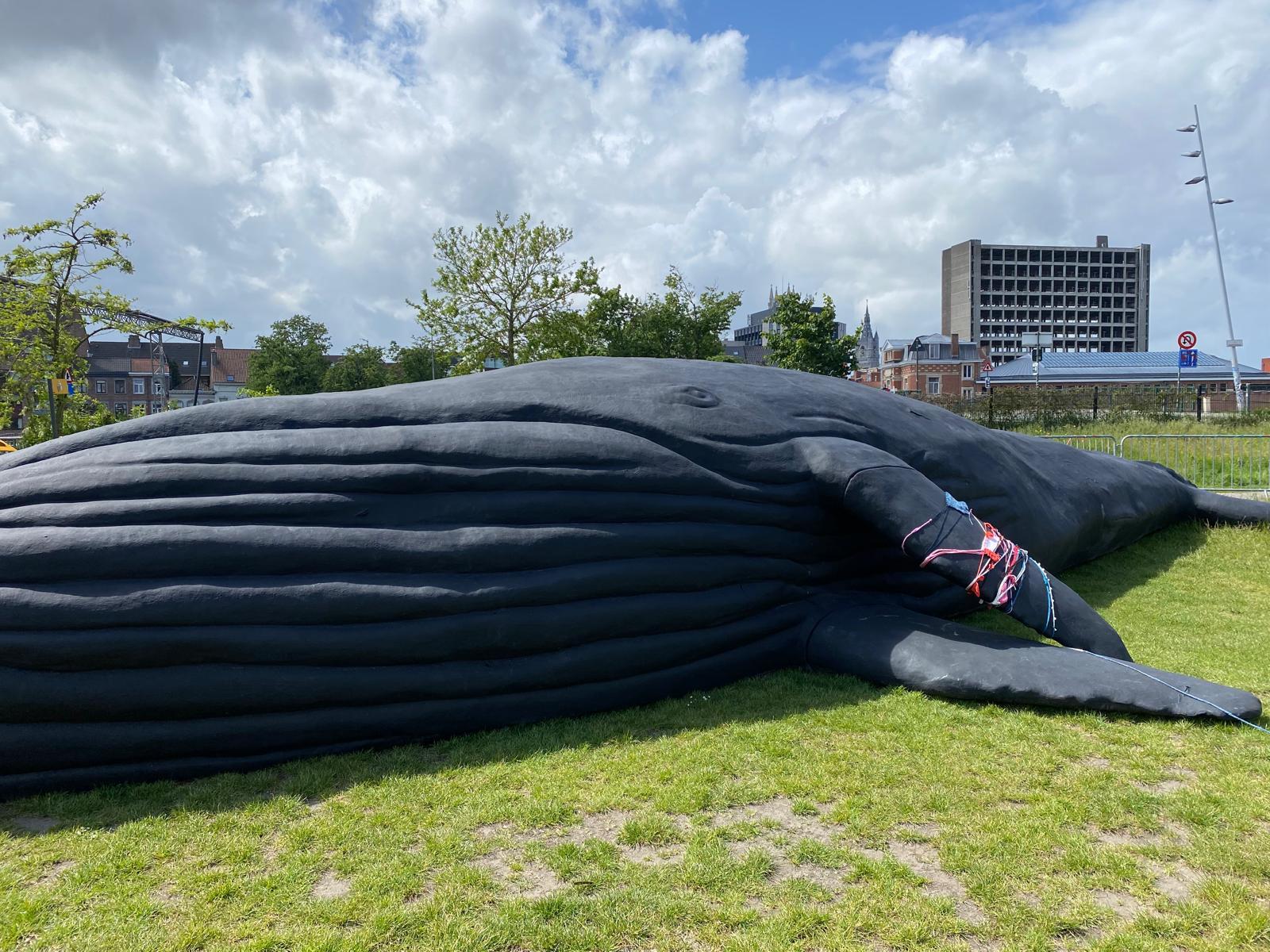 'Wij zijn de Walvis' - Gent