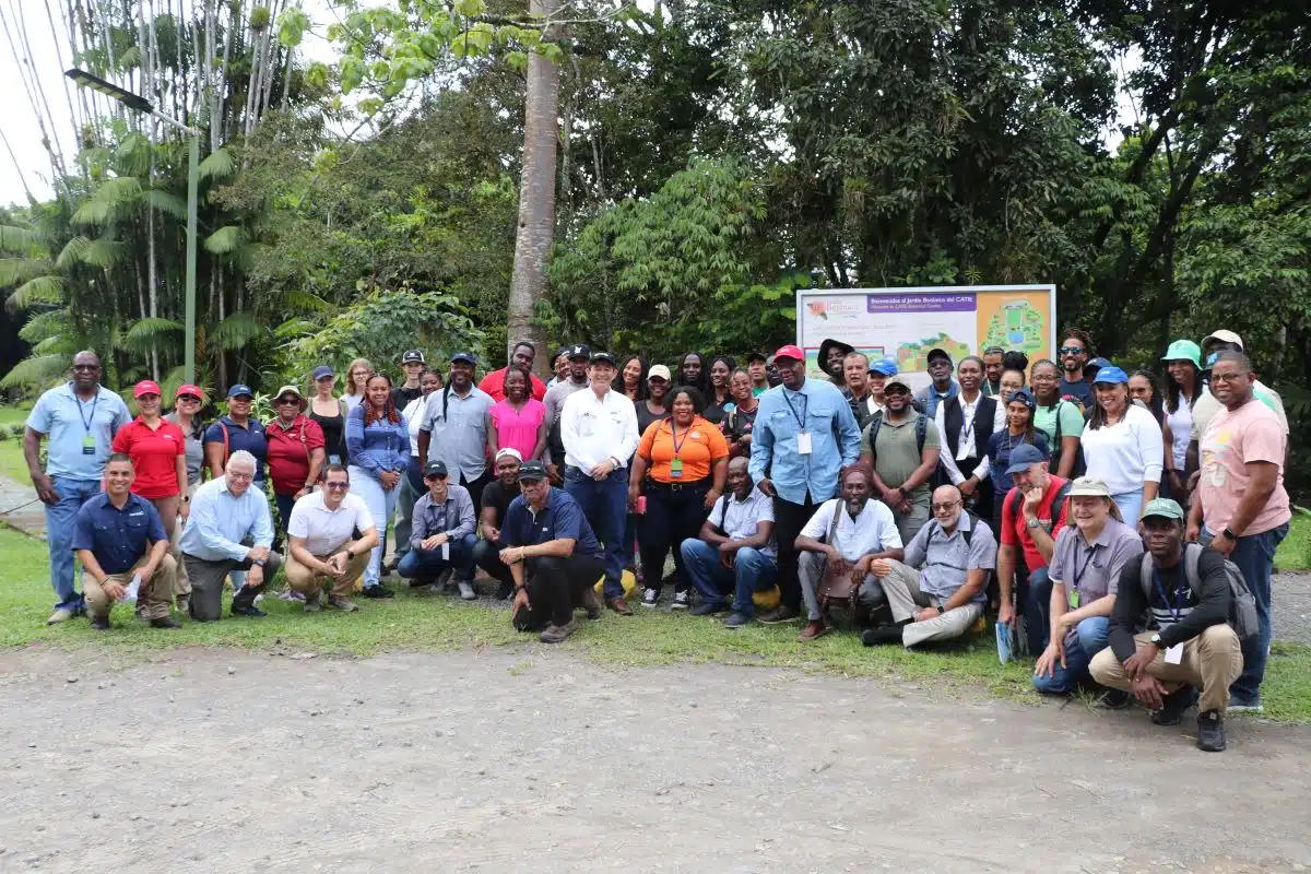 The more than twenty rural youth and women and ministers of Agriculture from the Eastern Caribbean States toured CATIE’s international coffee and cocoa collections, as well as its conventional and pesticide-free banana plantations, which play an invaluable role in conservation, research, genetic improvement, and food safety and health, among other good agricultural practices. The more than twenty rural youth and women and ministers of Agriculture from the Eastern Caribbean States toured CATIE’s international coffee and cocoa collections, as well as its conventional and pesticide-free banana plantations, which play an invaluable role in conservation, research, genetic improvement, and food safety and health, among other good agricultural practices. 