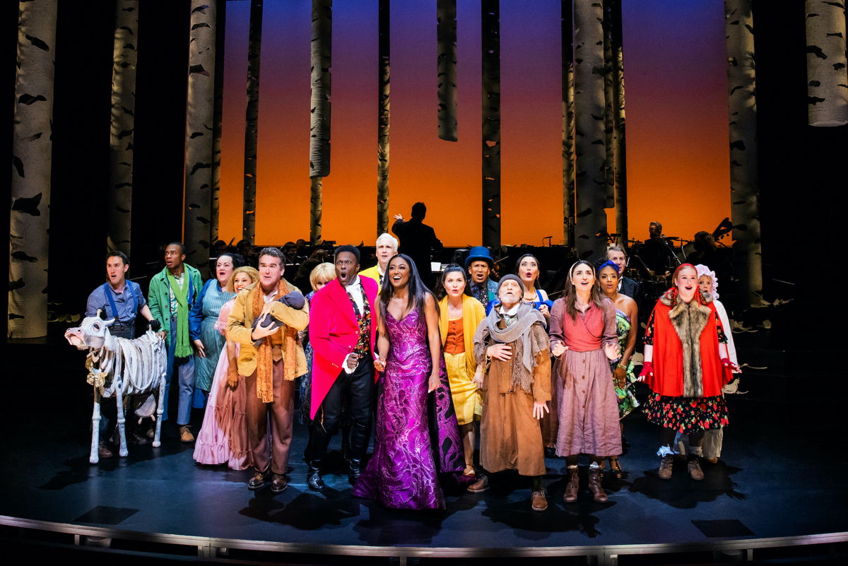 The cast of Into The Woods. (Photo by Matthew-Murphy and Evan-Zimmerman for MurphyMade)