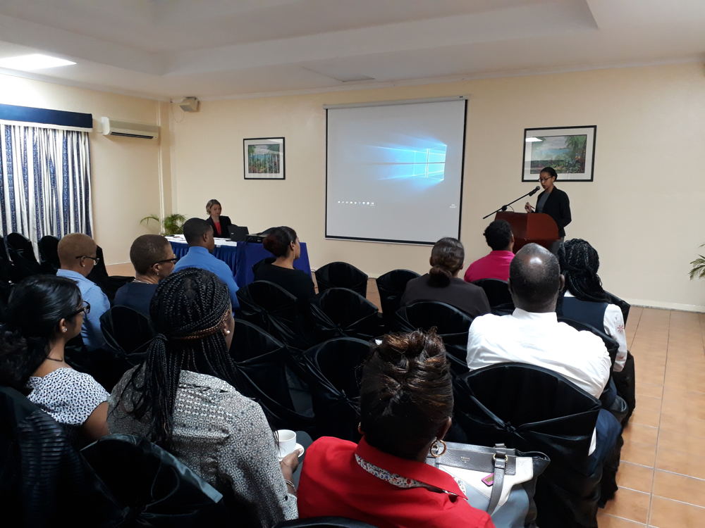 St Lucian companies and Martinican insurance professionnals at the Opening Ceremony