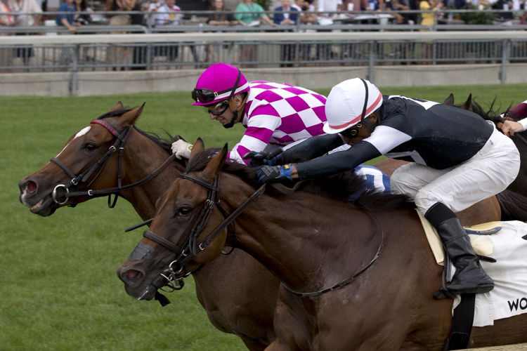 Fev Rover and jockey Patrick Husbands winning the Canadian Stakes on August 21, 2022 at Woodbine (Michael Burns Photo)