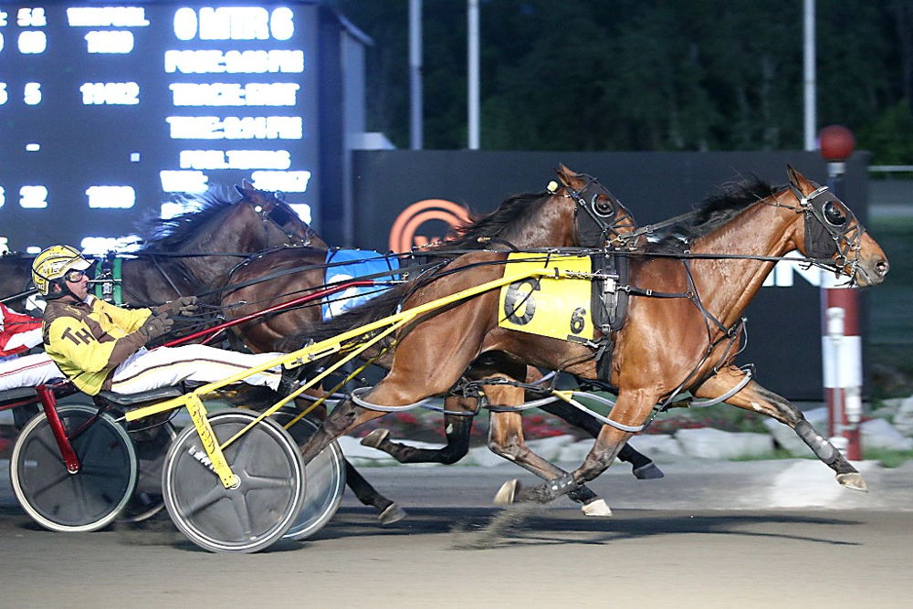 Magical Arthur winning a division of the Somebeachsomewhere last Saturday. (New Image Media)