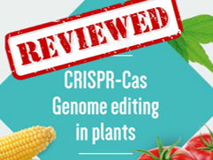 An update on CRISPR-Cas Genome editing in plants
