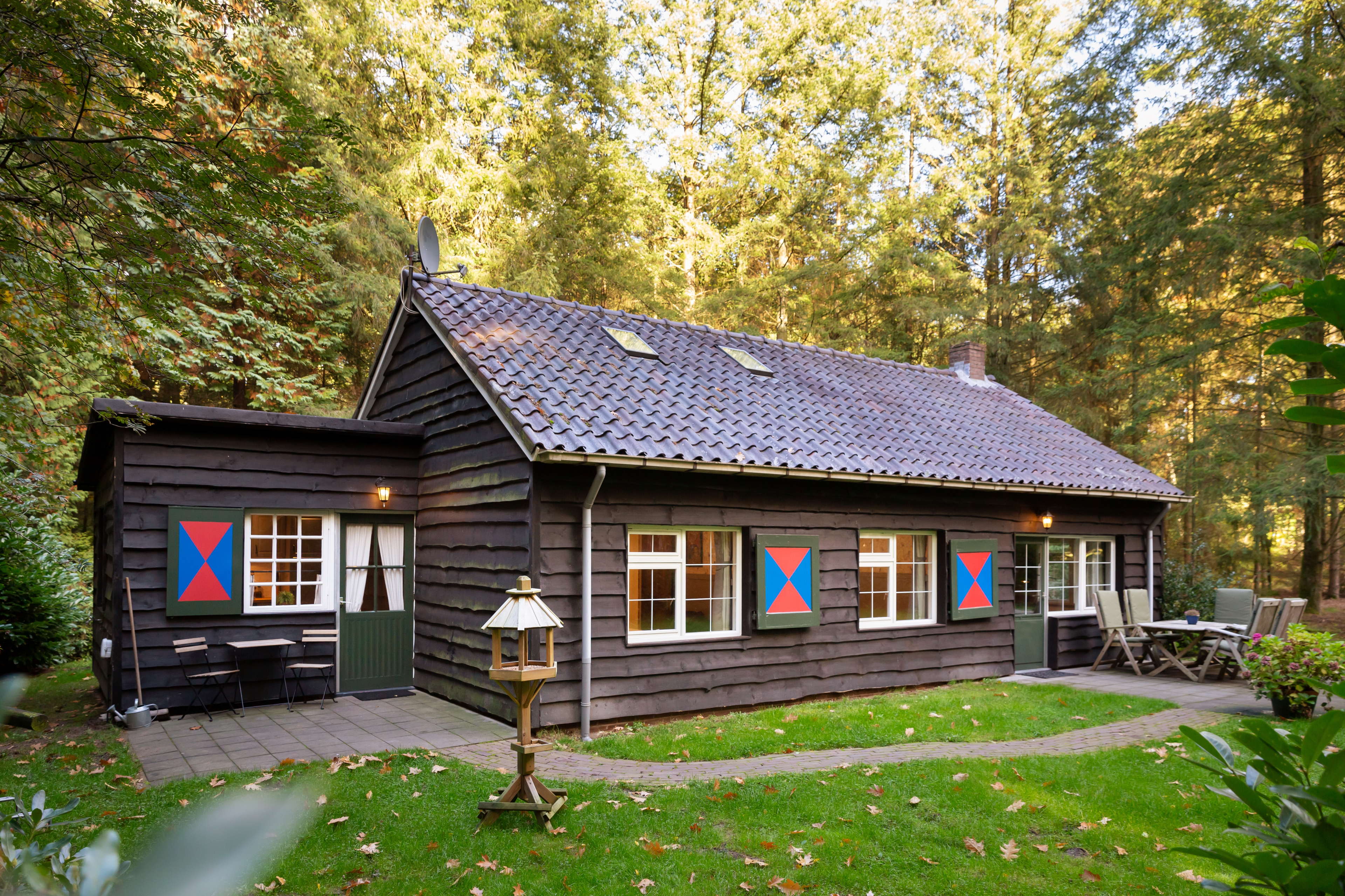 Bain de forêt à la japonaise avec le Shinrin-Yoku, dans ces magnifiques cabanes en pleine nature