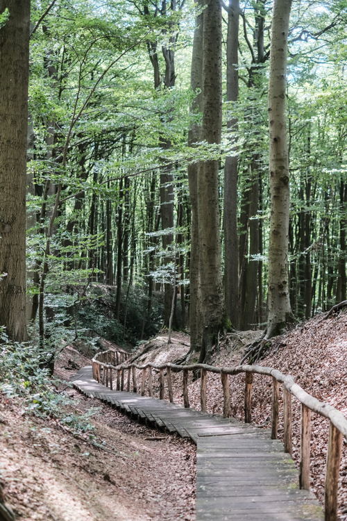 Neigembos wandelroute (© Bob Van Mol)