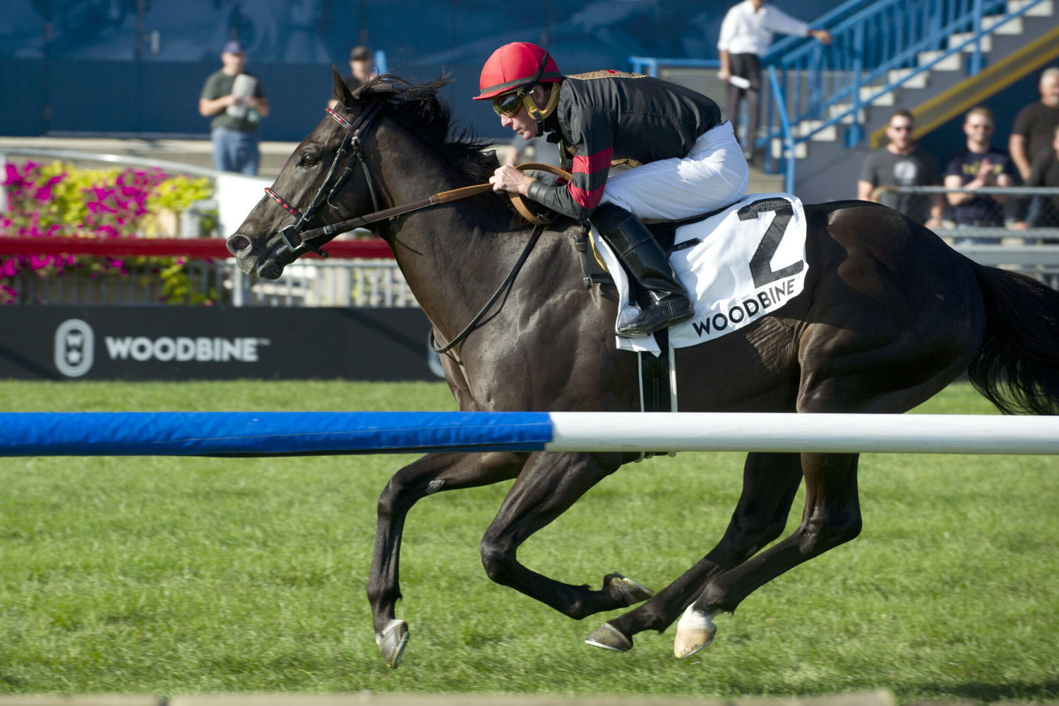 Gary Boulanger riding Silent Poet to victory in the 2019 Grade 2 Play The King Stakes. (Michael Burns Photo)