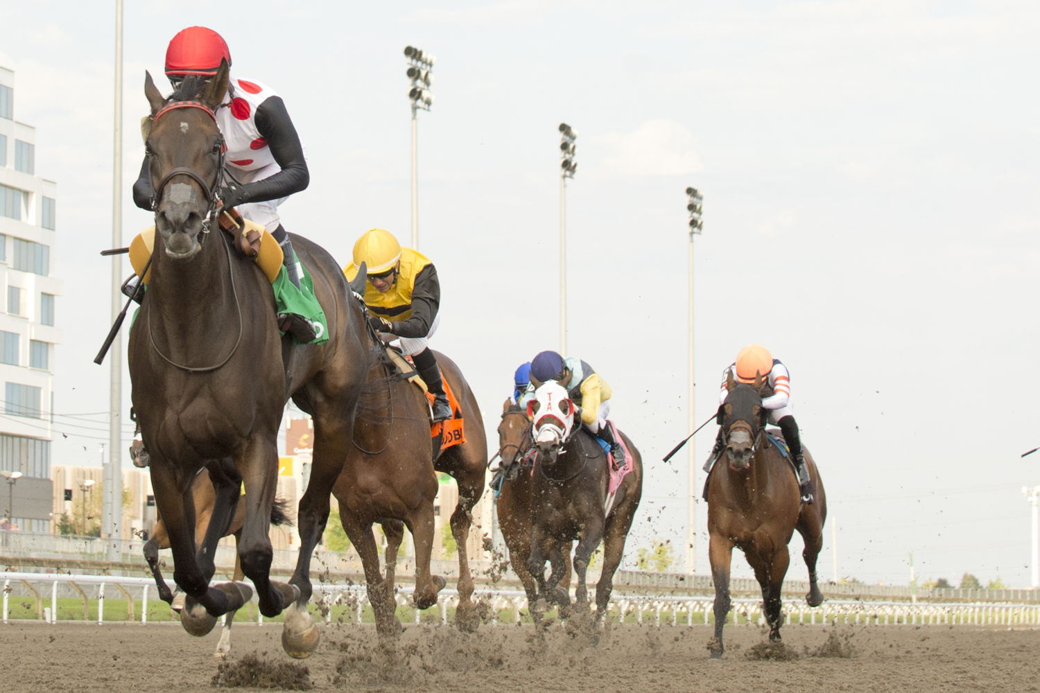 Ticker Tape Home and jockey Patrick Husbands winning the Seaway Stakes on August 24, 2024 at Woodbine (Michael Burns Photo)