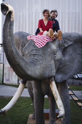 Tembo ®Stefan Gevaerts