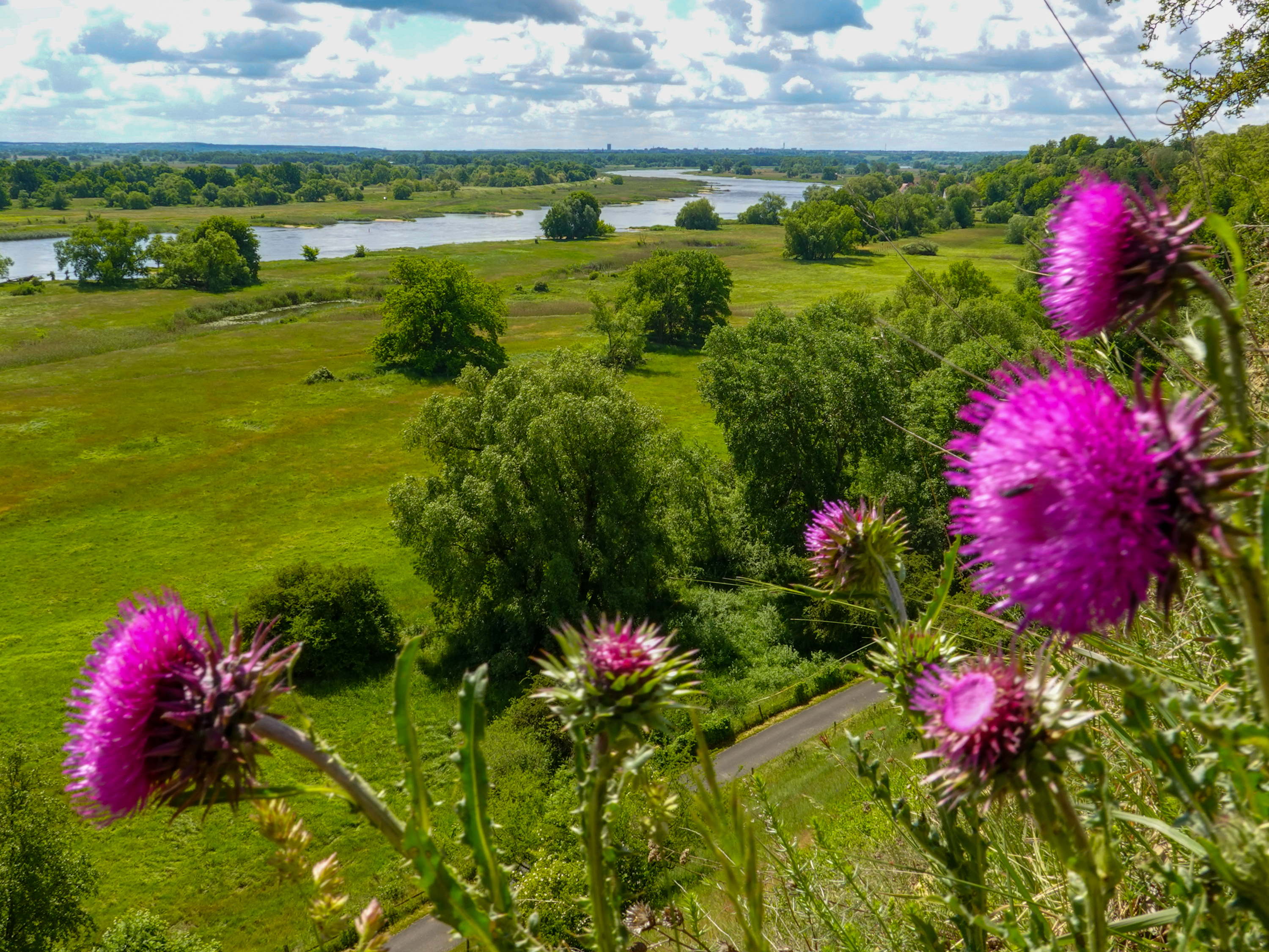 EU launches nature credits roadmap