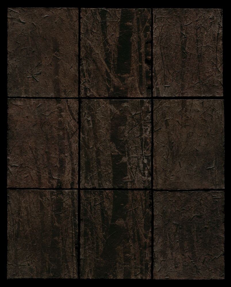 Hideyuki Ishibashi -T5_fossil