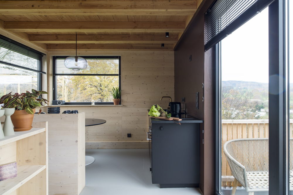 The Black Tiny House