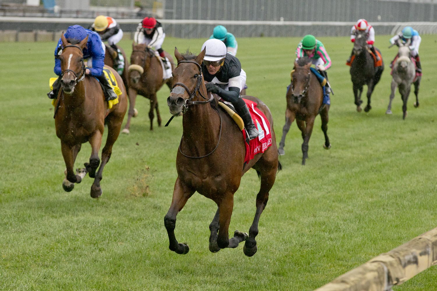 Fev Rover and jockey Javier Castellano winning the E.P. Taylor Stakes on October 8, 2023 at Woodbine (Michael Burns Photo)
