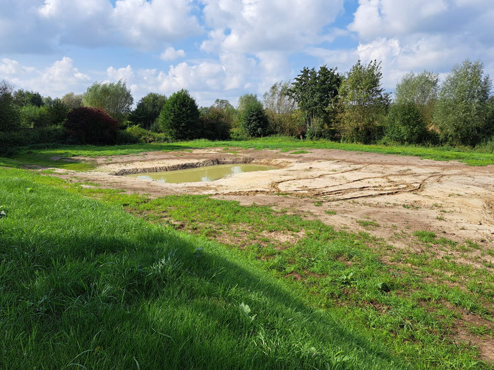 Nieuwe poelen kunnen het opgevangen water bufferen en laten infiltreren in de bodem © VLM