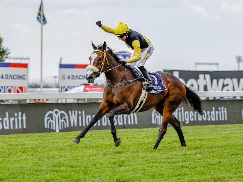 Gimme a Nother (SAF) chases Grade 2 Canadian Stakes glory