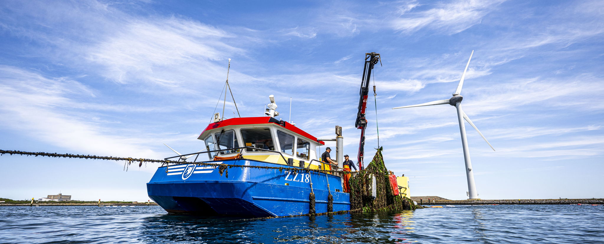 Zonnige lente zorgt voor vroege oogst 