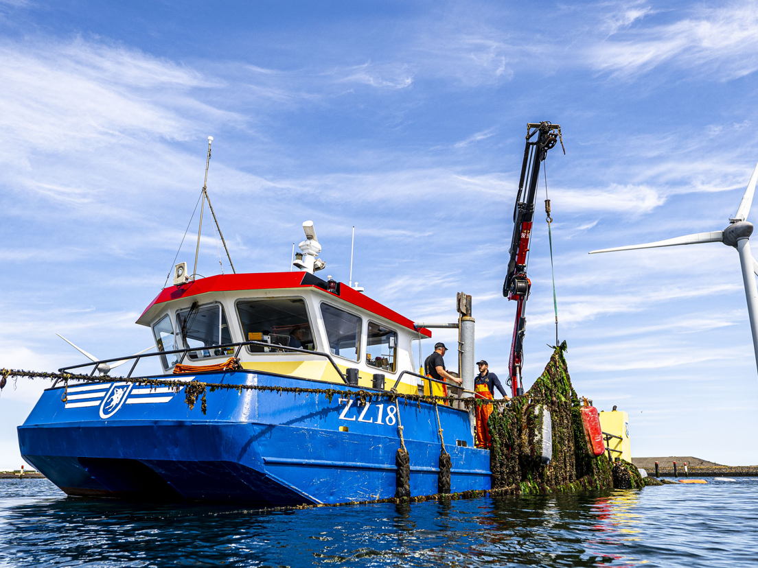 Zonnige lente zorgt voor vroege oogst 