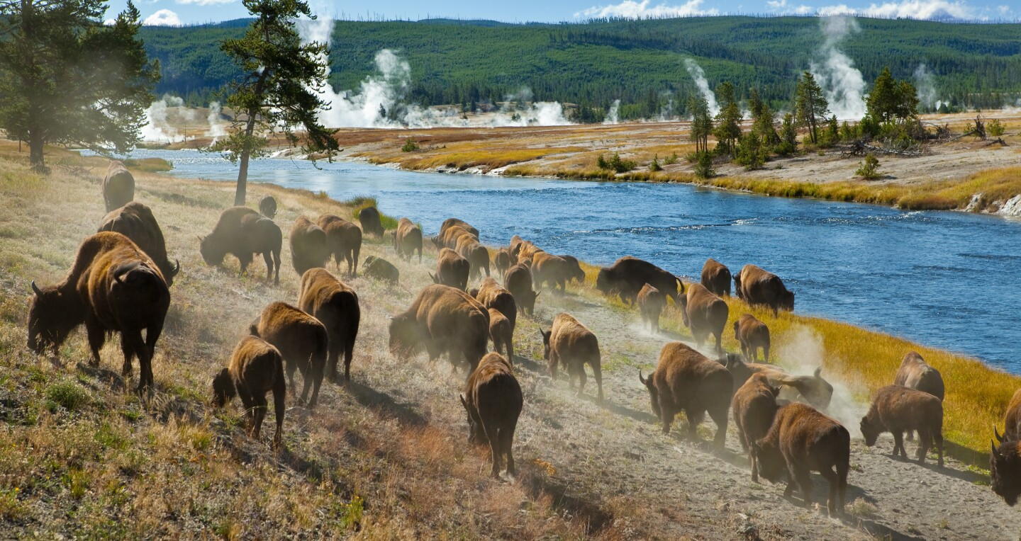 Wyoming