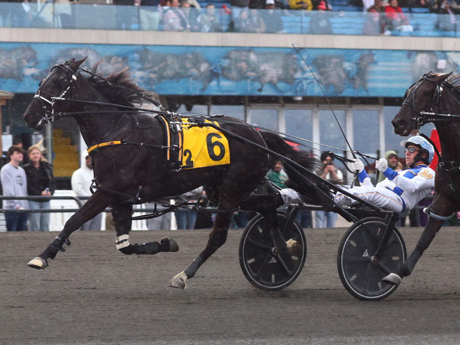 Horse of the Year Chantilly returns to win SBOA Stakes