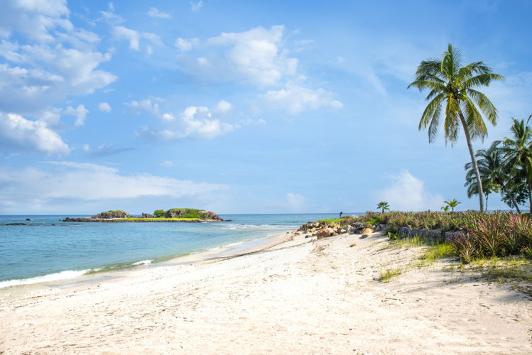 Tail of the Whale Punta Mita 