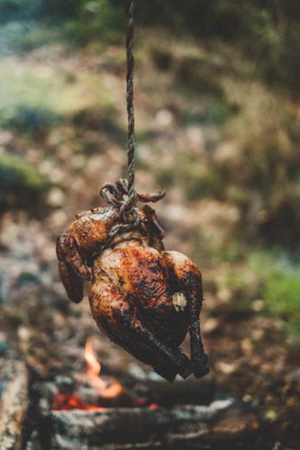 Chicken on a rope (c) Thomas Sweertvaegher