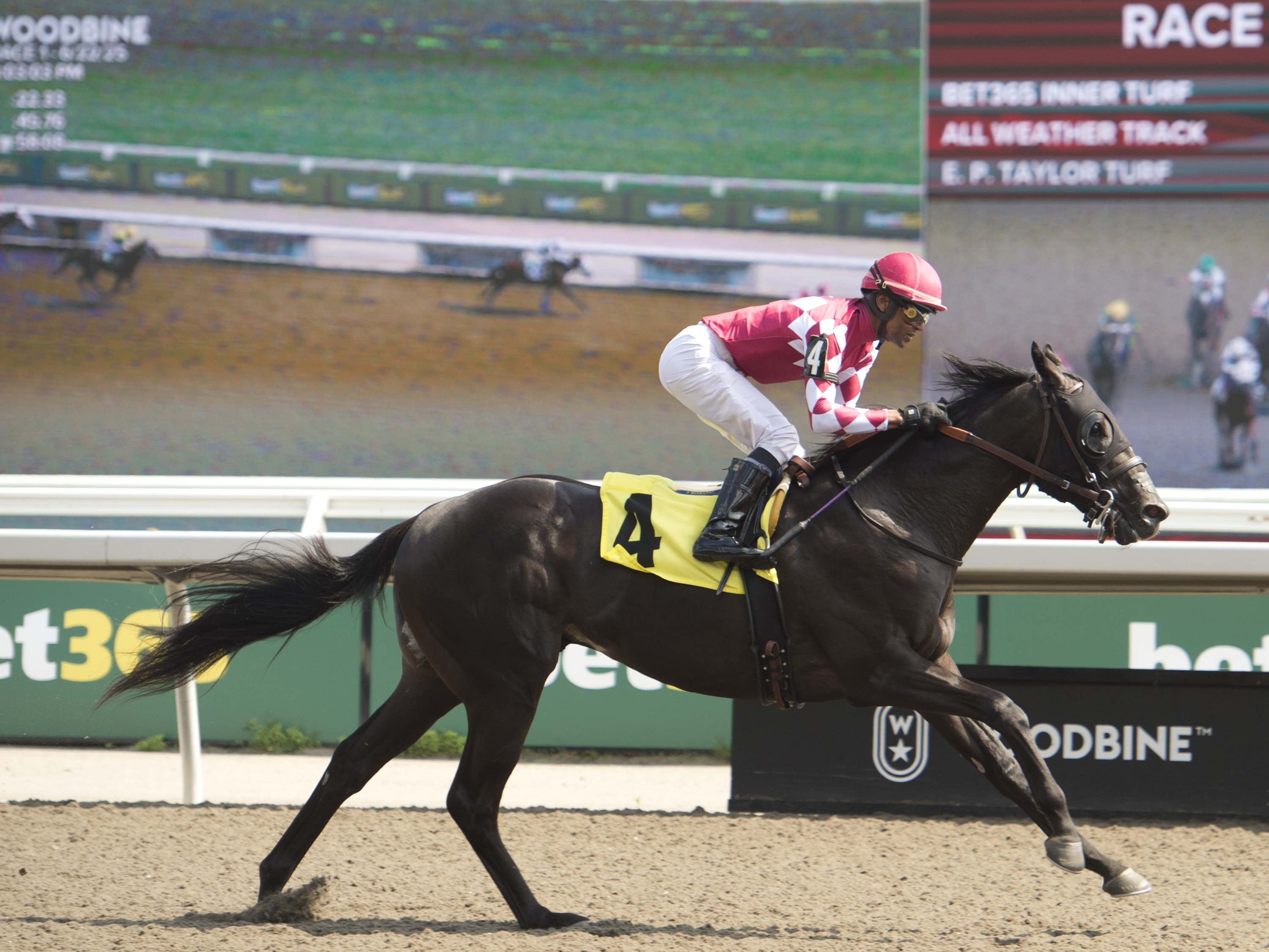 Pageant Queen chases My Dear Stakes crown / Victoria Stakes: Casson, Jupiter, Rude Procedure a formidable trio for Casse