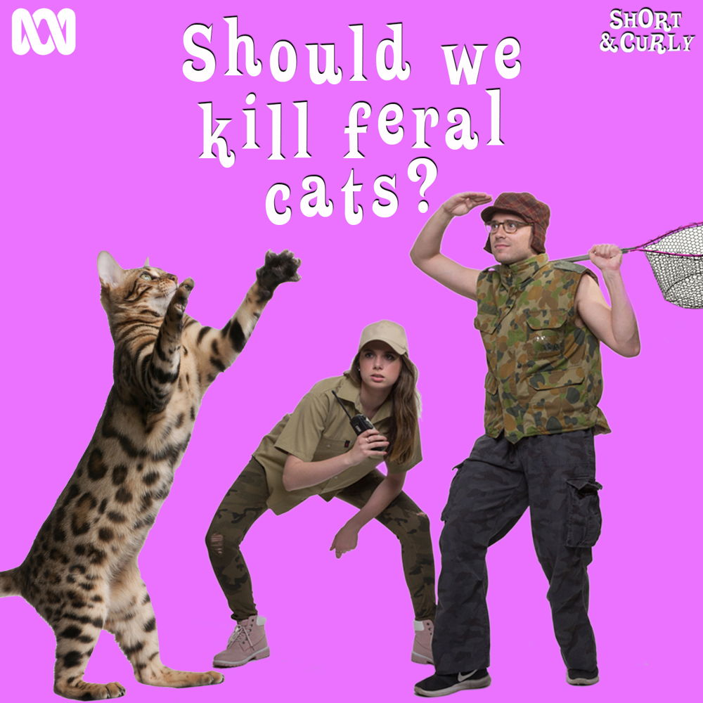 Should we kill feral cats? SQ