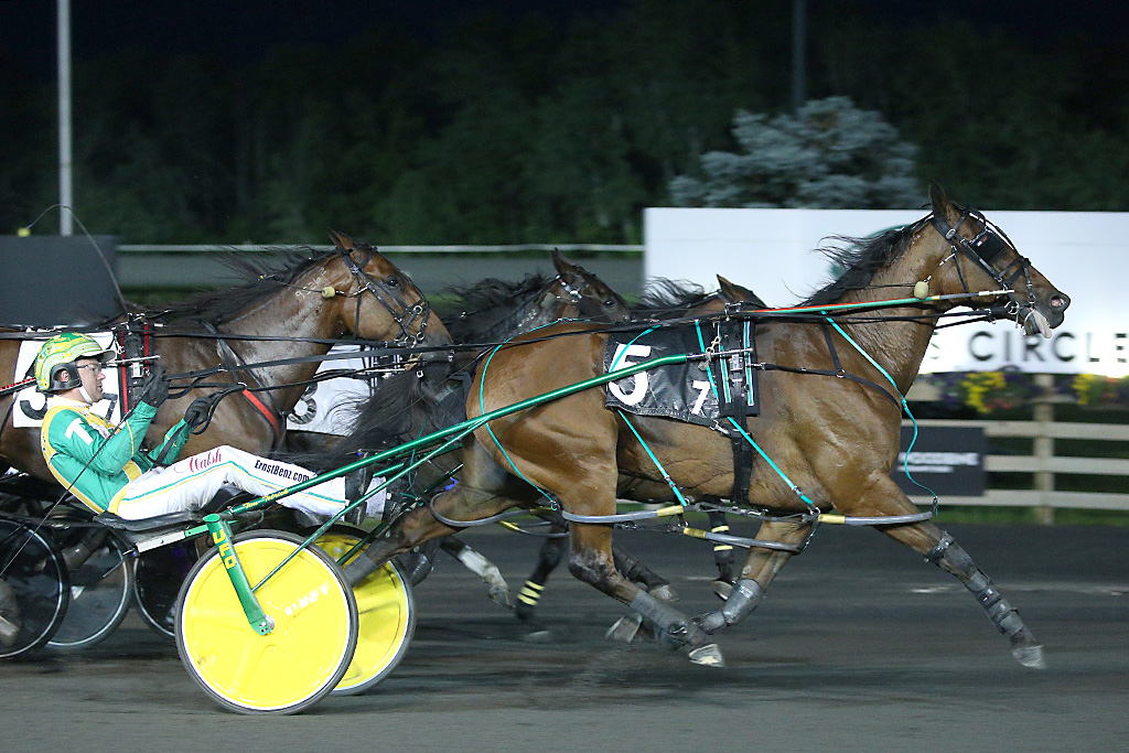 Lyons Sentinel with Tim Tetrick win their second elimination of the Roses Are Red at Woodbine Mohawk Park. (New Image Media)