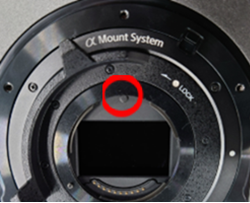 A white background with black dots​AI-generated content may be incorrect., Picture