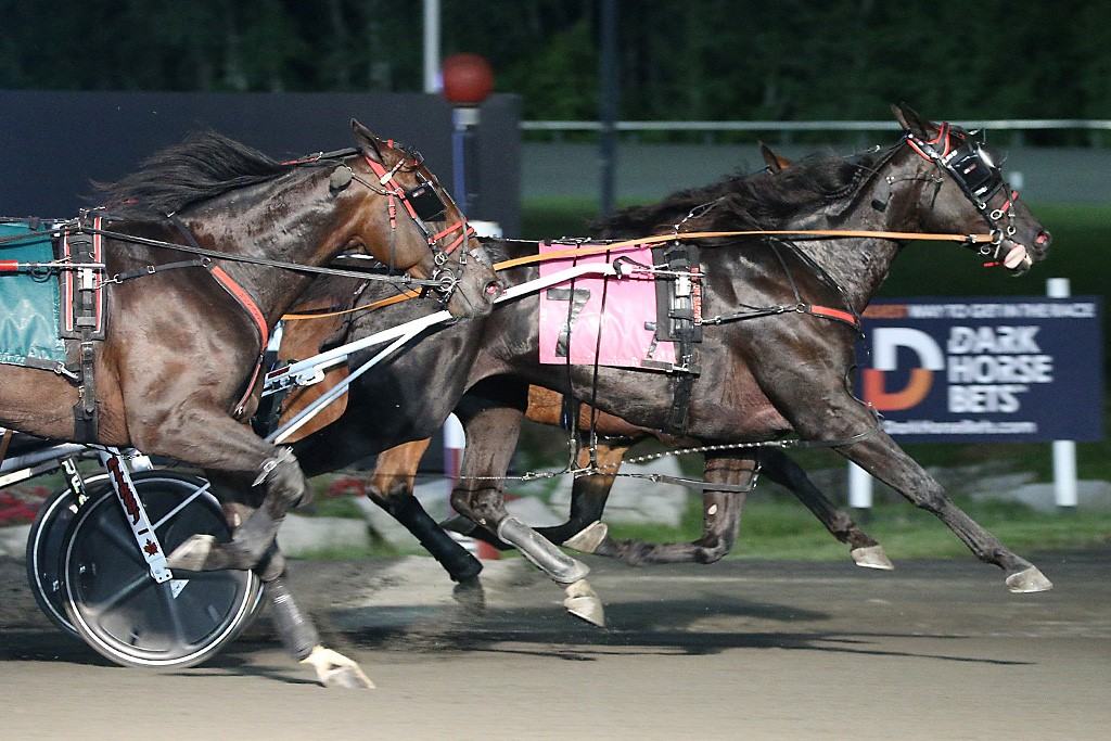 Twin B Archie winning a Goodtimes elimination. (New Image Media)
