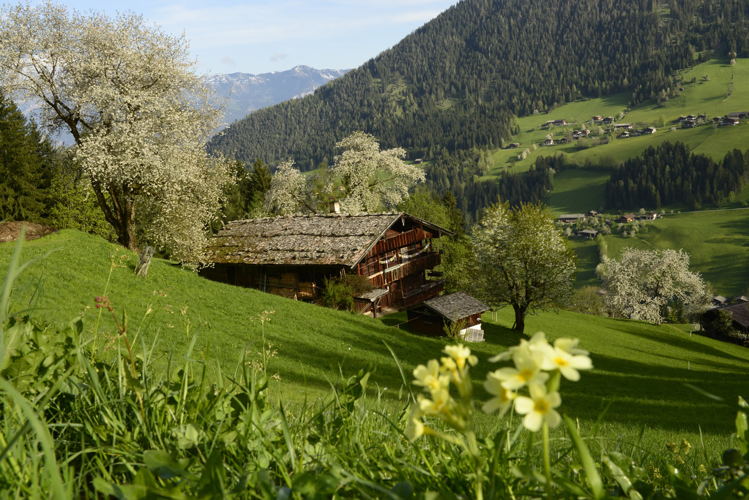 Bergbauernhof (c) Alpbachtal Tourismus, Bernhard Berger
