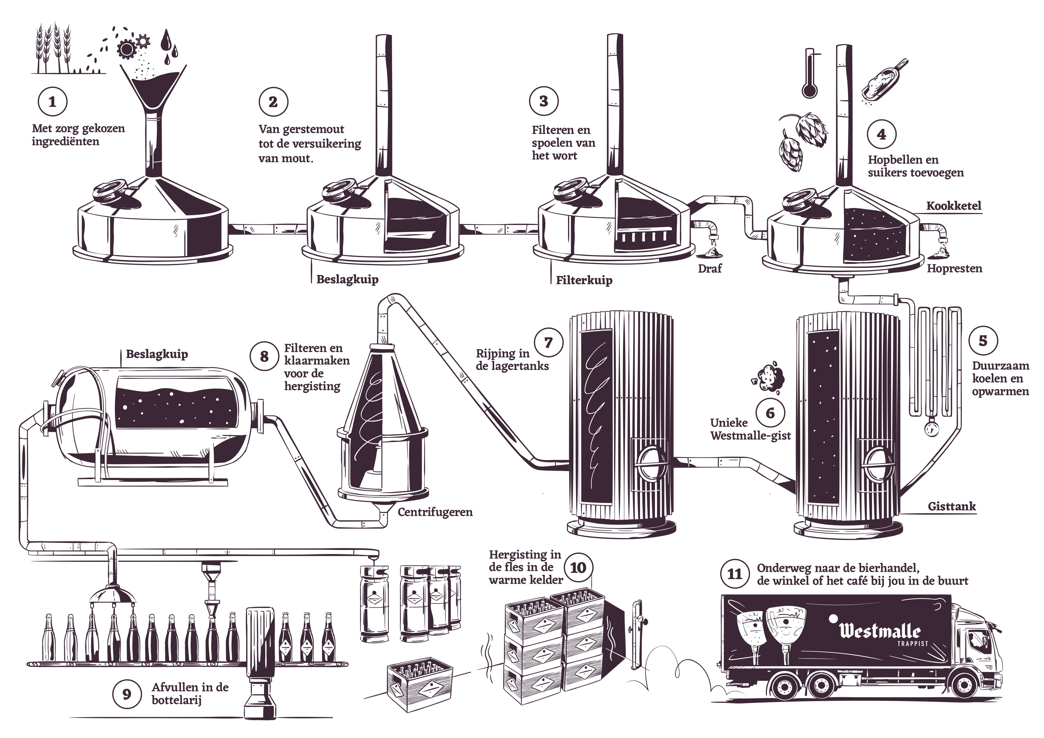 Het brouwproces - © Brouwerij der Trappisten van Westmalle